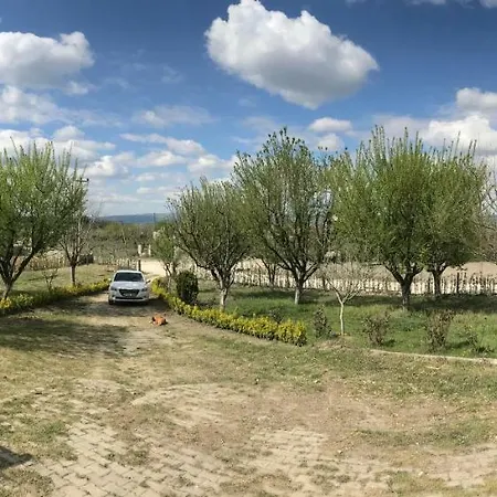 Yildiz Bag Evi Villa Sapanca
